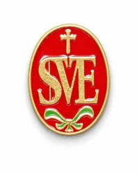 pin escudo almoster