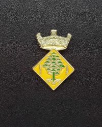 pin escut Alpicat