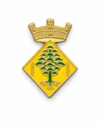 pin escudo alpicat