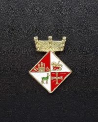 pin escut Alt Àneu