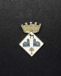 pin escut Anglès