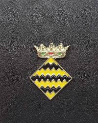 pin escut Anglesola
