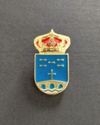pin escudo aranga