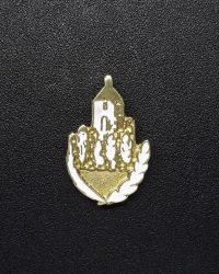 pin escut Arbolí