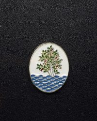 pin escudo arenys de mar