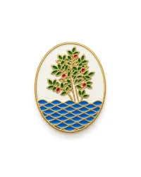 pin escudo arenys de mar