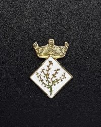 pin escut Argelaguer