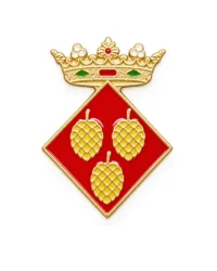 pin escudo argençola
