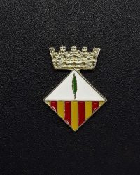 pin escudo argentona