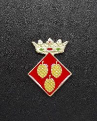 pin escudo argençola