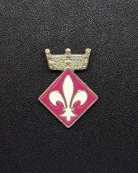 pin escut Aspa