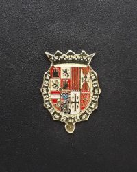 pin escudo asparrena