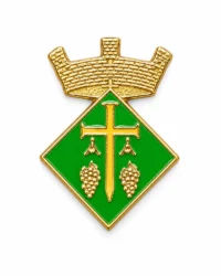 pin escudo avinyó