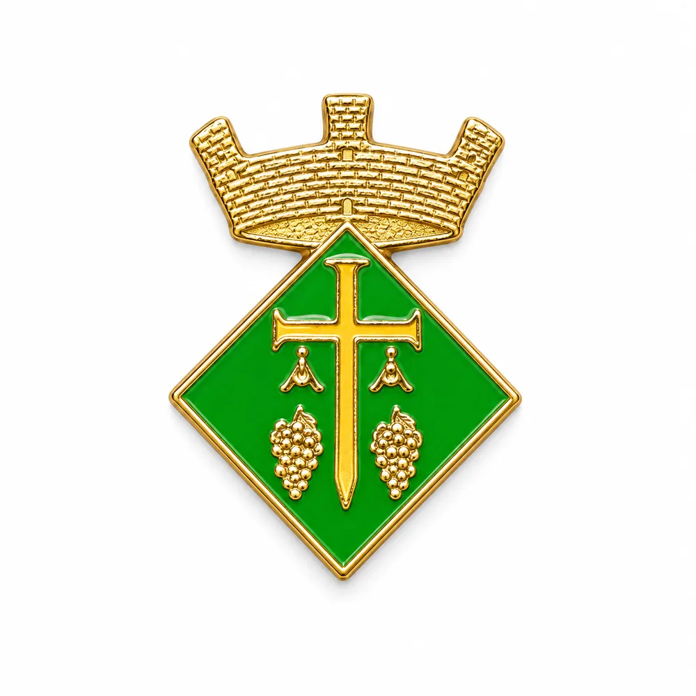 pin escudo avinyó