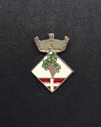 pin escut Avinyonet de Puigventós