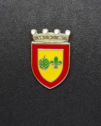pin escudo bagà