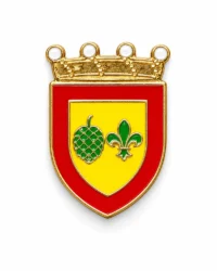 pin escudo bagà