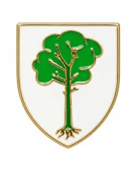 pin escudo begues