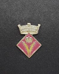 pin escut Belianes