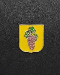 pin escut Bellvís