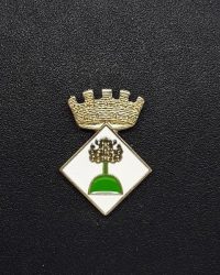 pin escut Benifallet