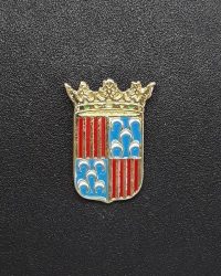 pin escudo berga