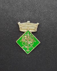 pin escudo bigues i riells