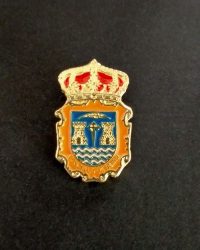 pin escudo boiro