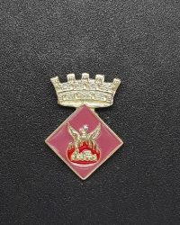 pin escut Bossòst