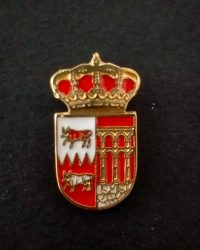 PIN ESCUDO BUSTARVIEJO