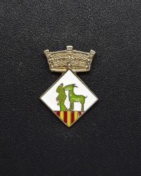 pin escudo cabrera d'igualada