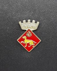 pin escudo calaf