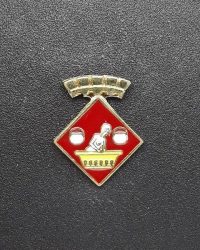 pin escut Caldes de Malavella
