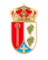 pin escudo camarena