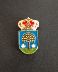 pin escudo cambre