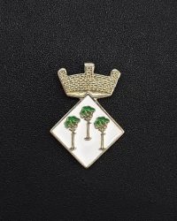 pin escudo campins