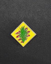 pin escudo canyelles