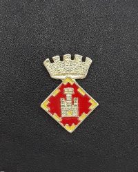 pin escudo casserres
