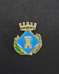 pin escudo castelloli