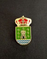 pin escudo cee