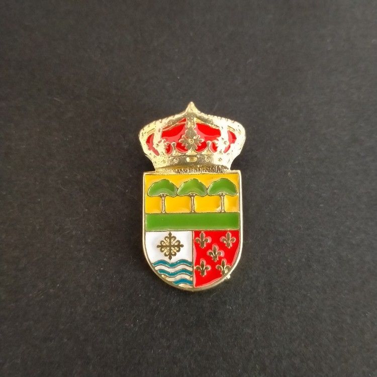 pin escudo cerdido
