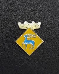 pin escudo cervello
