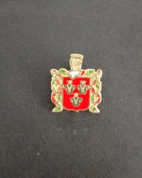 PIN ESCUDO DARRO