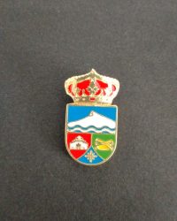 PIN ESCUDO DÍLAR