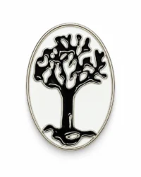 pin escudo els alamus