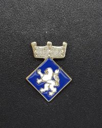 pin escut Bòrdes, es