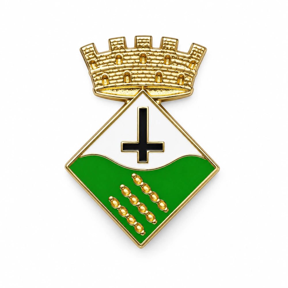 pin escudo esterri d aneu