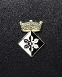 pin escudo figols