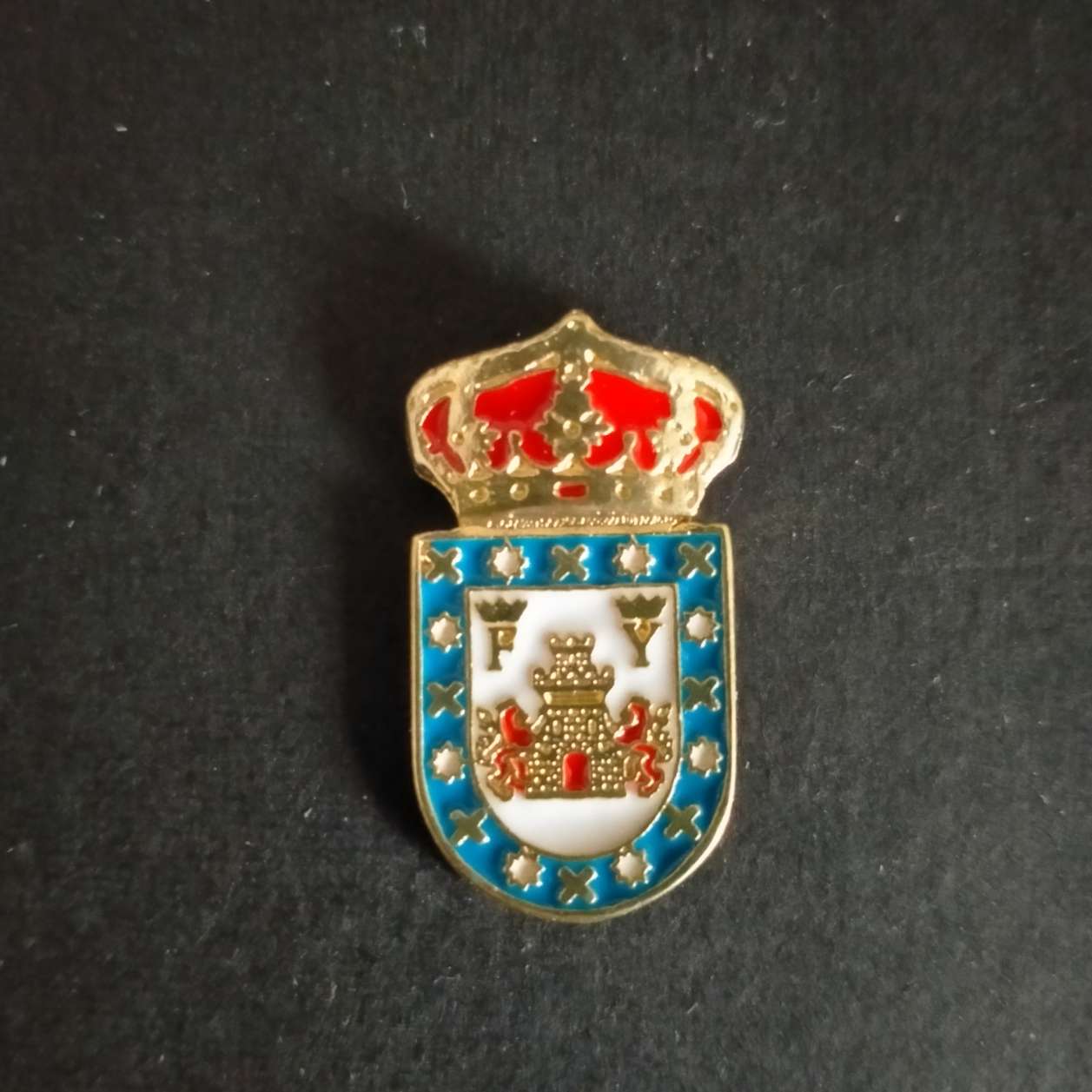 PIN ESCUDO FIÑANA