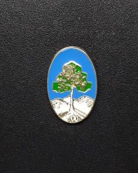 pin escudo fogars de la selva